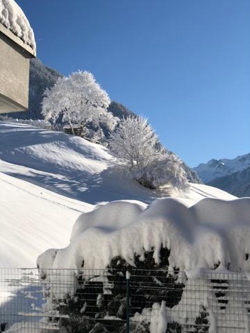 Haus Hubertus Sommerpreise Incl Sommercard Sommercard Partner Jerzens Bagian luar foto